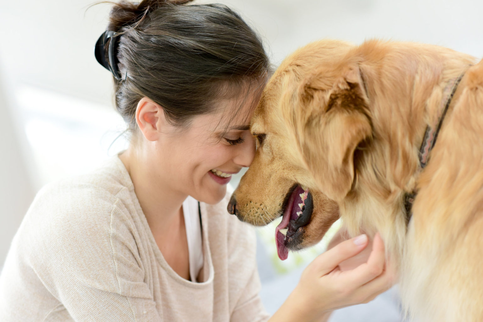 10 Dogs Language Explained: How to Understand Your Dog Better