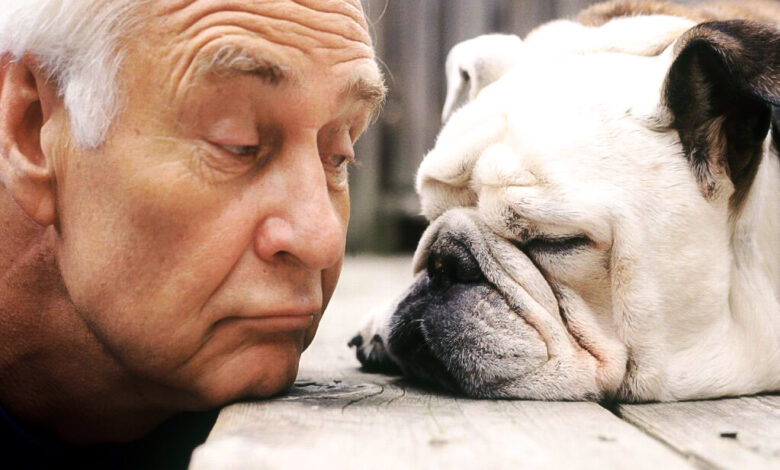 10 Best Dogs For Seniors That Are Low-Maintenance and Full Of Love