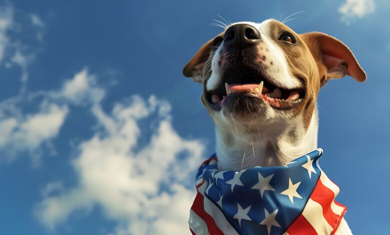 The Most Popular Dog Breeds in the USA: The Right Male or Female for Your Home